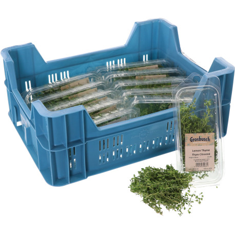 THYM CITRON GROSBUSCH 12X20G